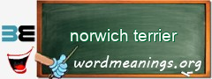 WordMeaning blackboard for norwich terrier